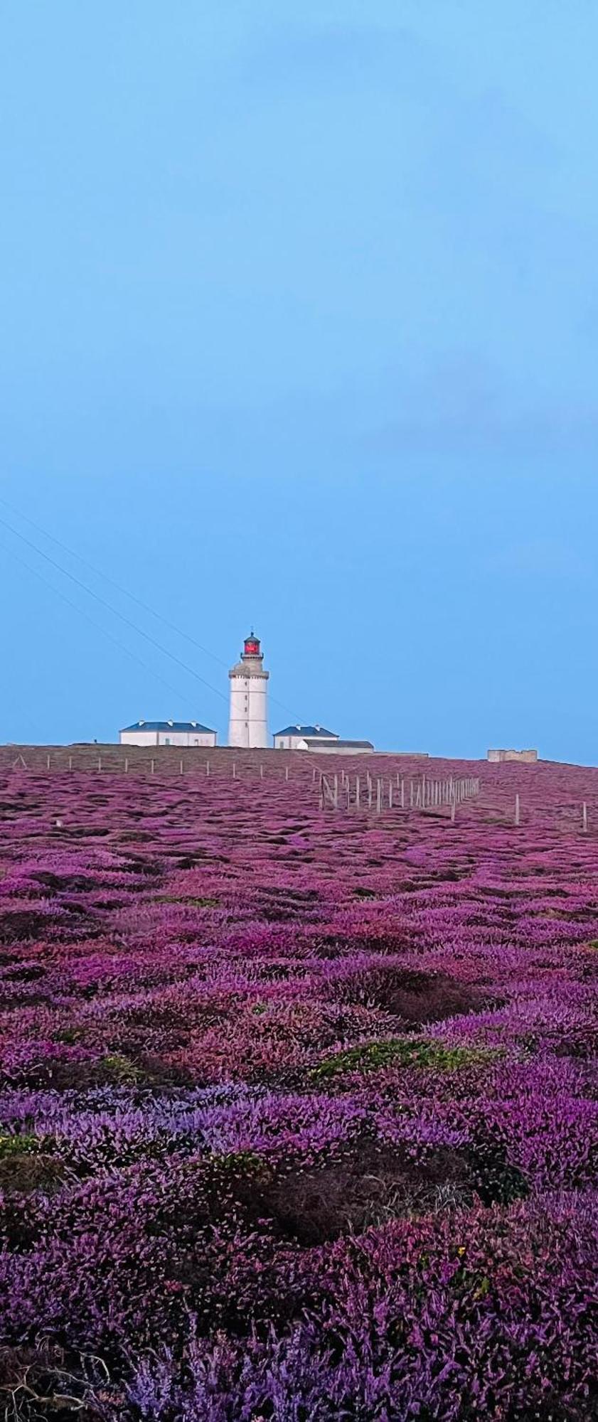 L'Atelier De Mezareun Bed & Breakfast Ushant ภายนอก รูปภาพ