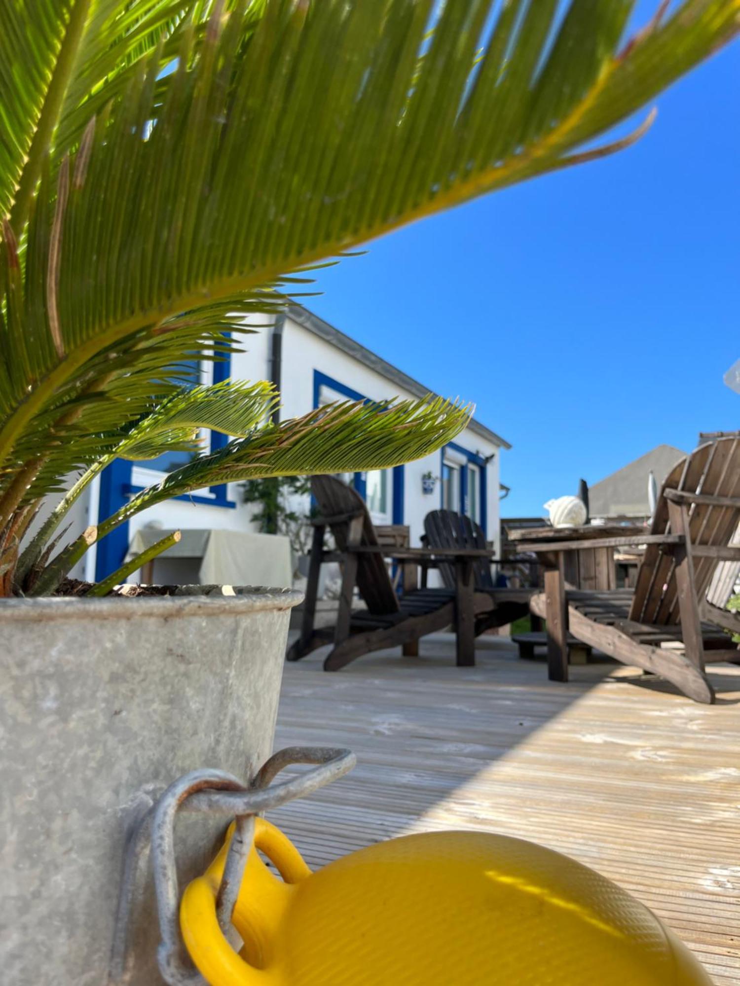 L'Atelier De Mezareun Bed & Breakfast Ushant ภายนอก รูปภาพ