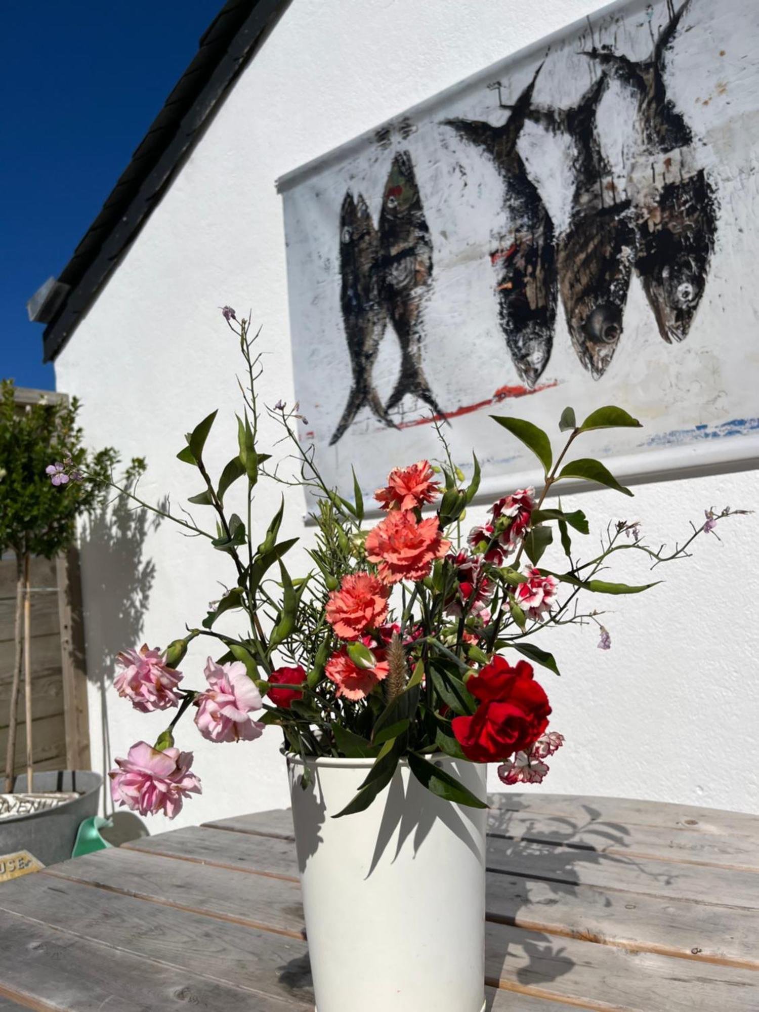 L'Atelier De Mezareun Bed & Breakfast Ushant ภายนอก รูปภาพ